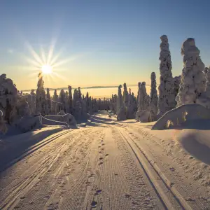 Lapland - Finlandiya